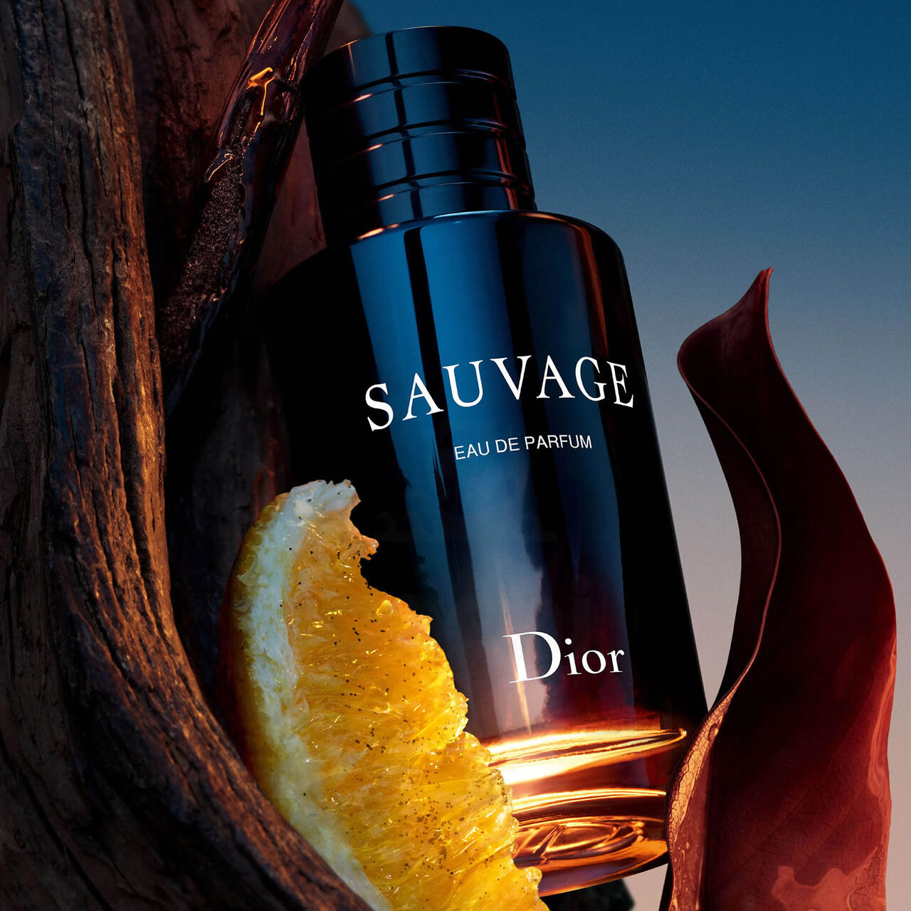 Sauvage – Dior